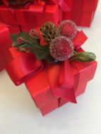 Red Berry Christmas Favour