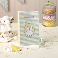 Baby Miffy Party Bags